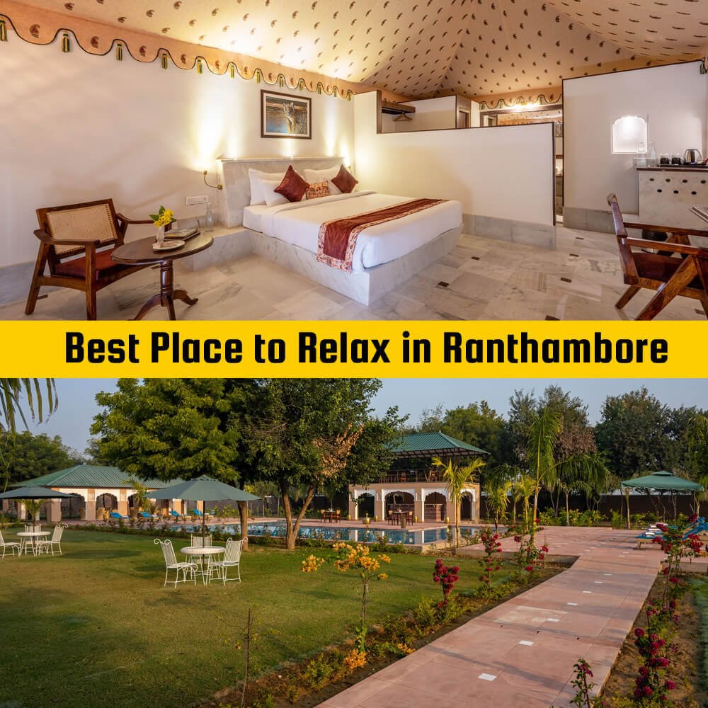 Aangan Resort Ranthambore – Where Opulence meets Nature’s Embrace